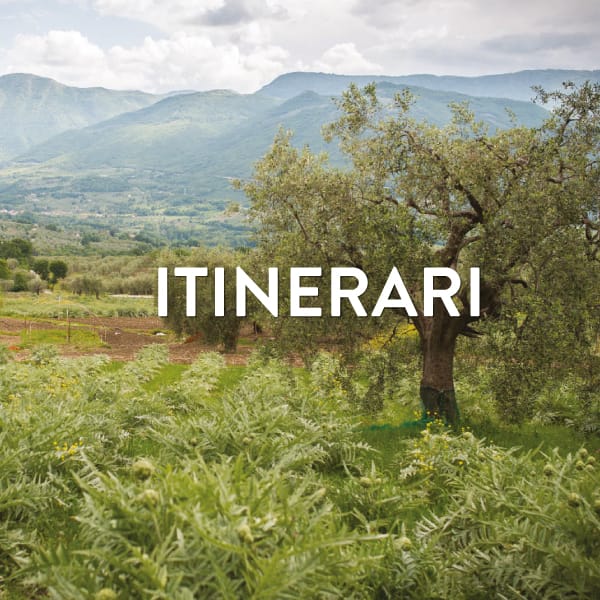 ITINERARI